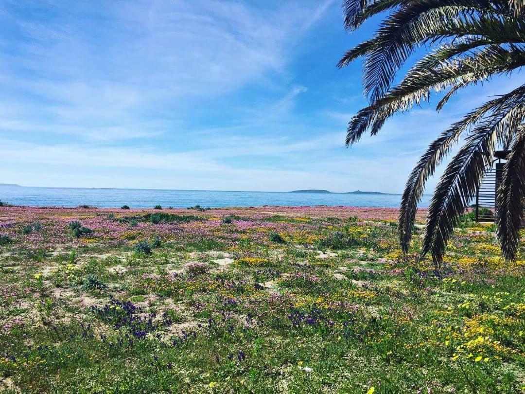 Affittacamere Acquamarina Oristano Dış mekan fotoğraf